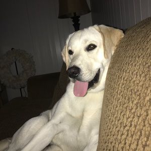 Meet your Posher, Jaclyn